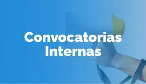 Convocatoria internas