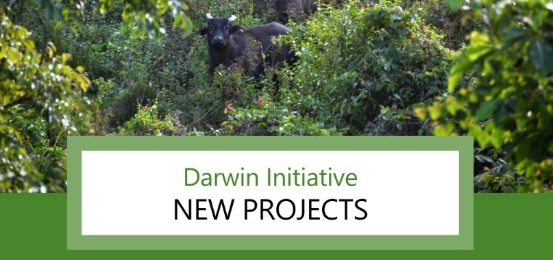 Darwin Initiative