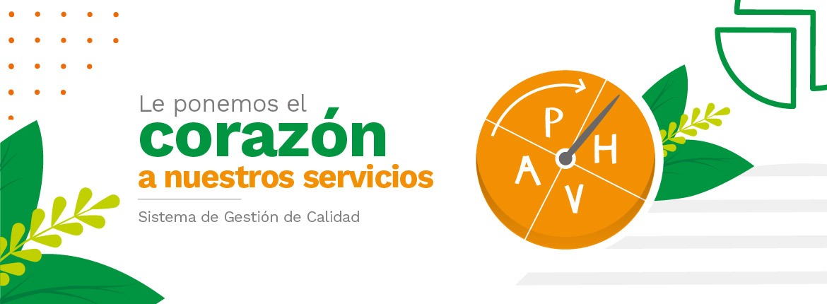 Gestión de Calidad