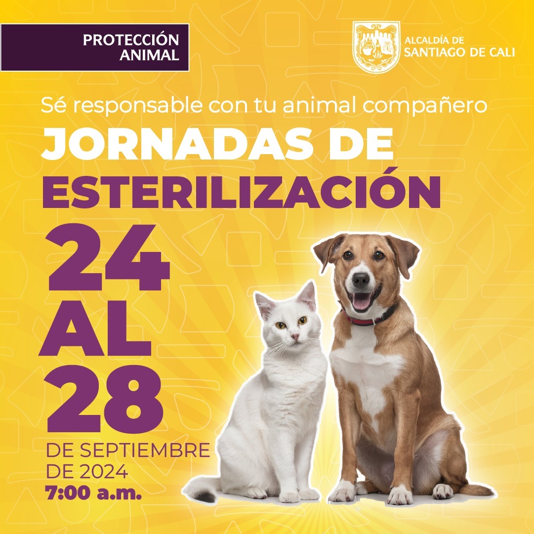 Jornadas de esterilización gratuitas del 24 al 28 de septiembre