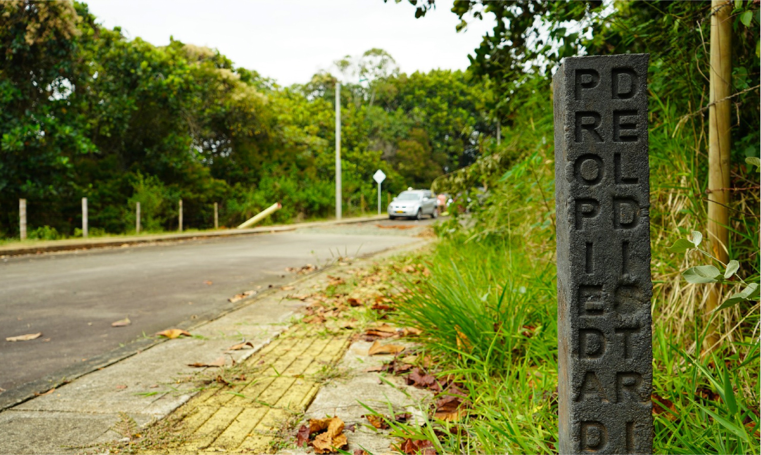 Foto destacada boletin 6