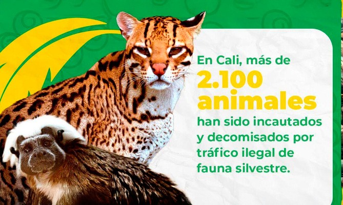 tráfico ilegal de flora y fauna