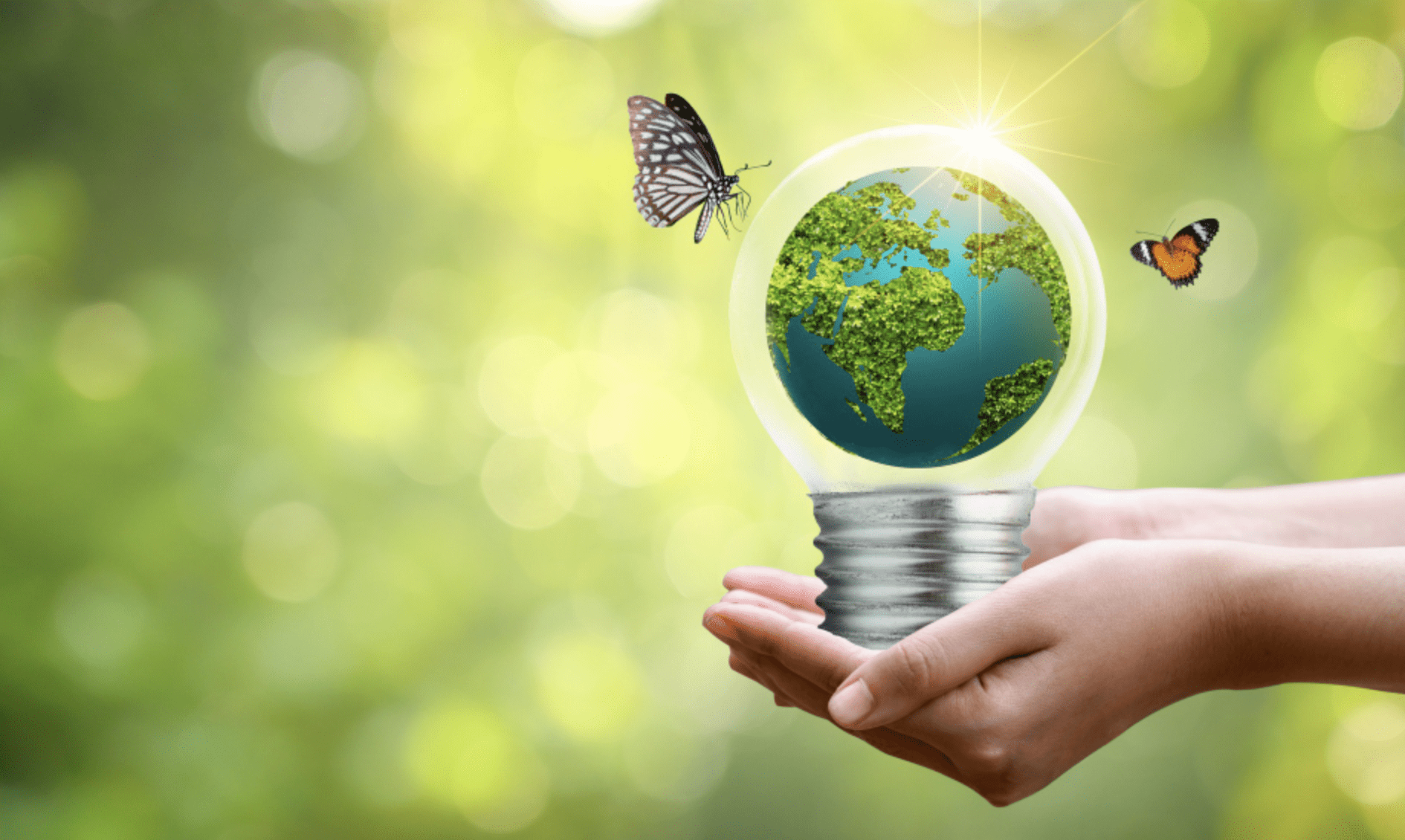 Captura de Pantalla 2025-03-03 a la(s) 2.34.30 p. m.