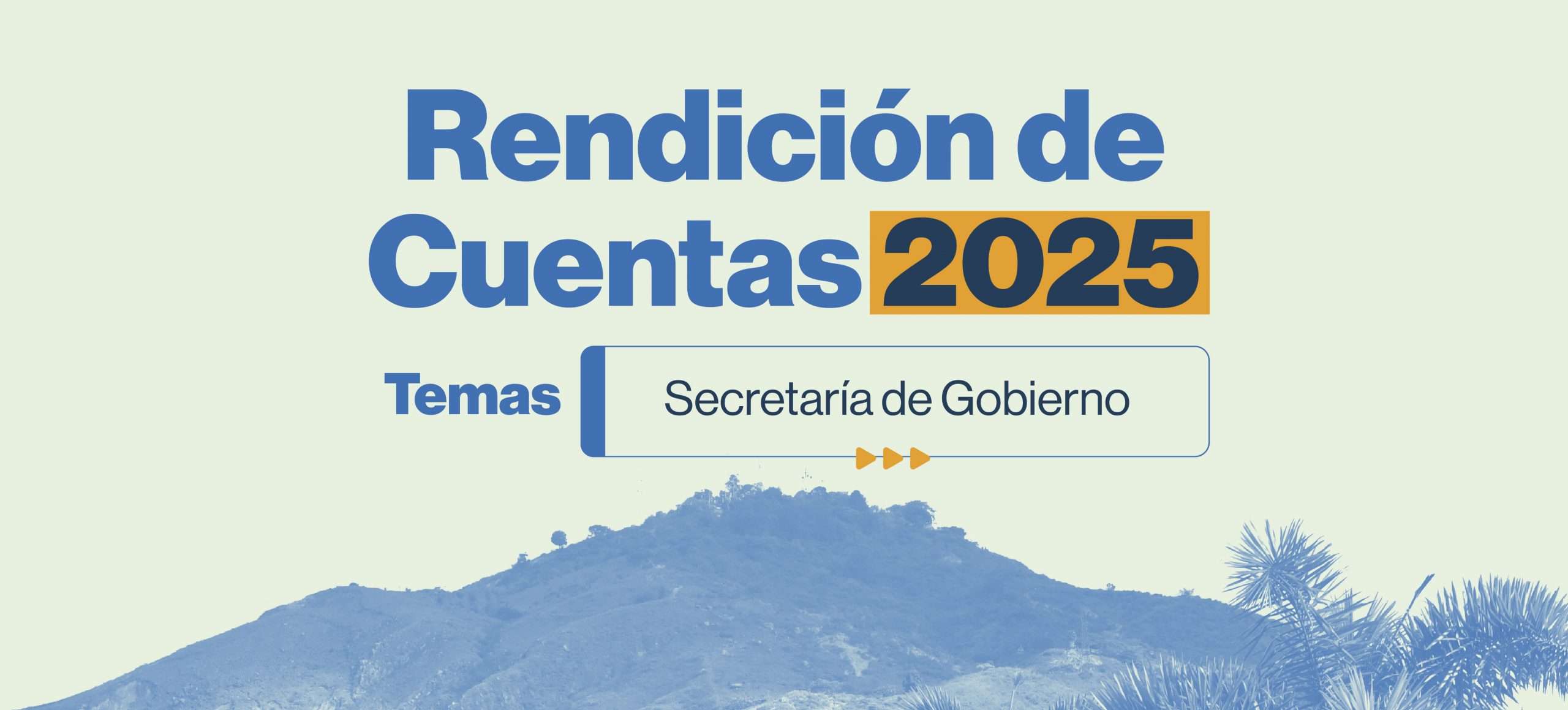 Rendición de Cuentas Temas Boletin Web-02 (1)