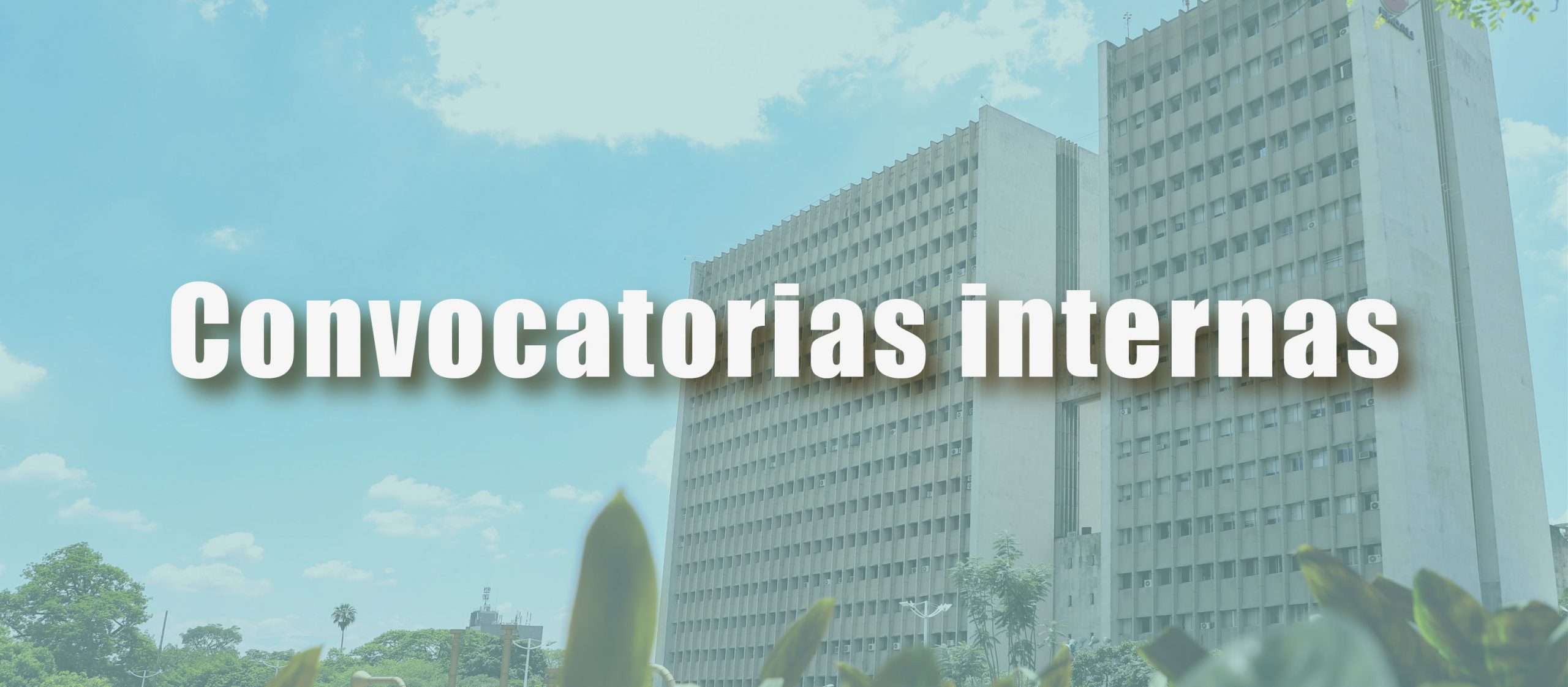 Convocatorias internas - 4
