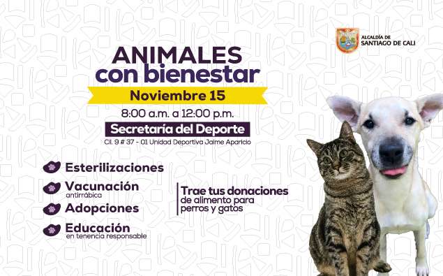 AnimalesBienestar(BannerWeb)-PA