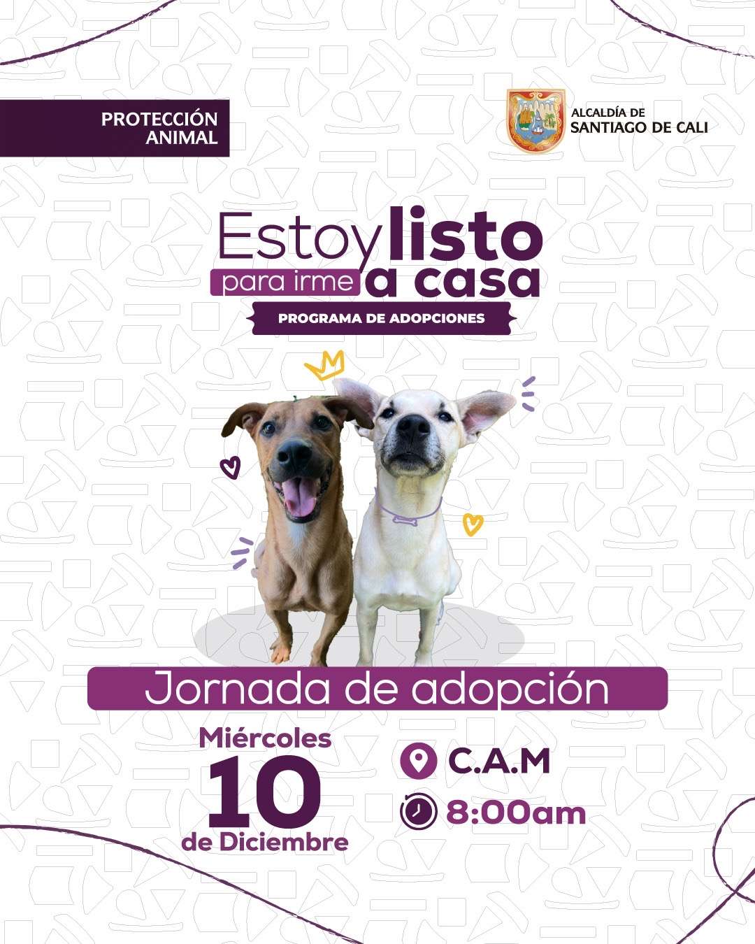 8d7aec87-55b7-4c9b-8b35-0739147635b1