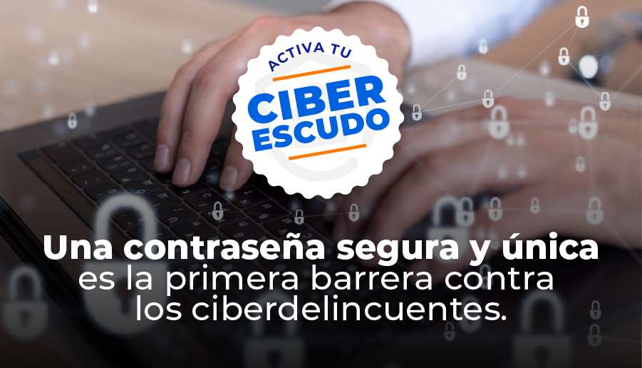 intranet tip contra segura