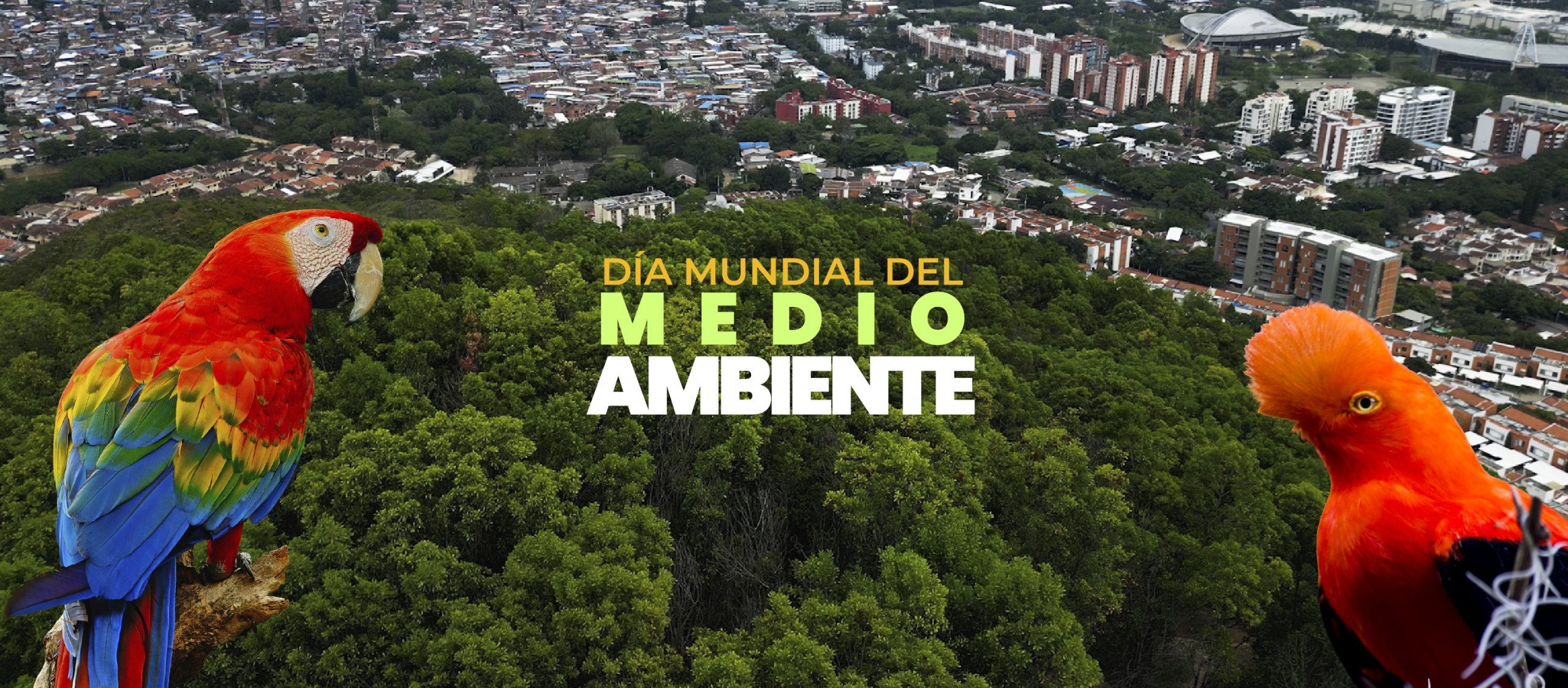 MesasTrabajo_MediosInternos_FotoBoletín_Intranet