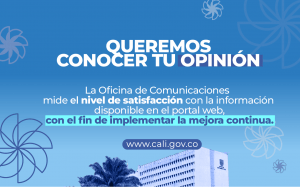 MesasTrabajo_NivelesdeSatisfaccion_HomeWeb e Instancia