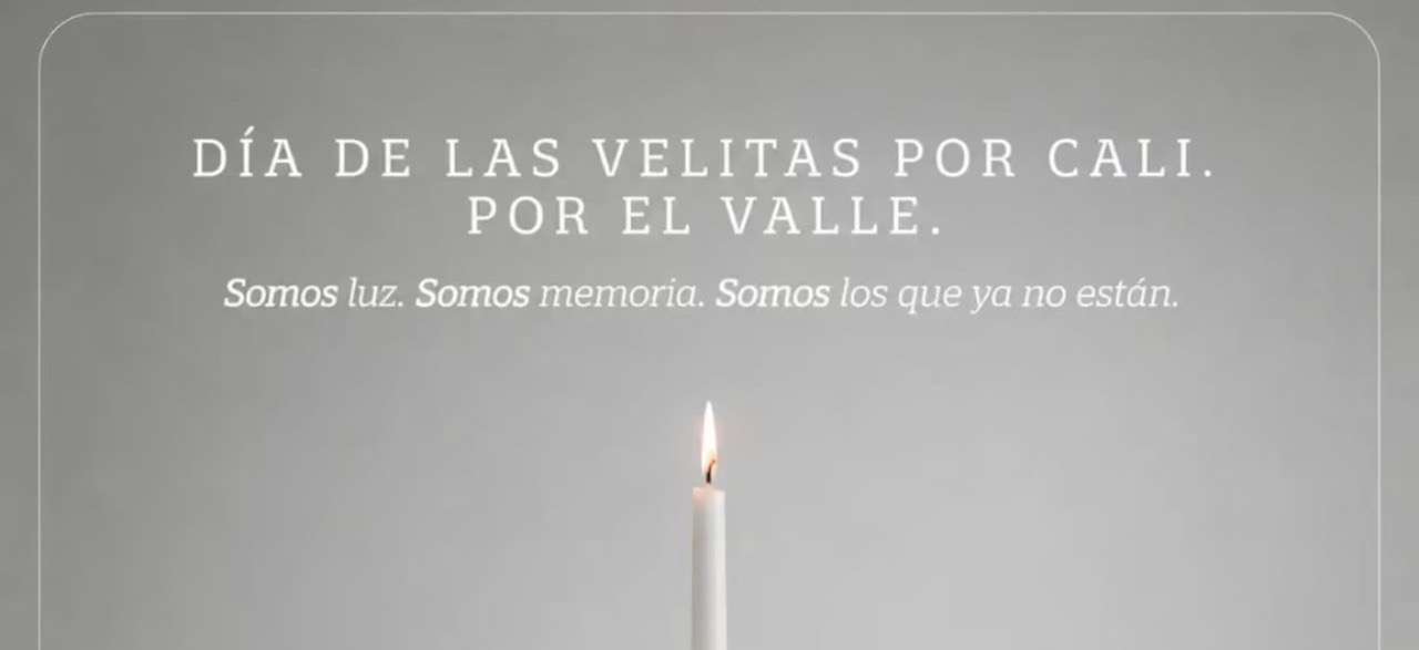 9a2d2a12-9f8c-4bd4-9493-8aa2f4a9acb7