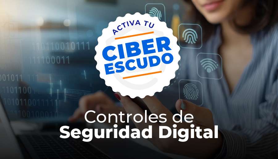 tip controles seguridad